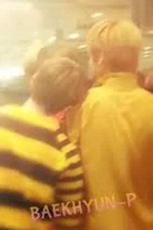 ปกนิยาย {exo} - ✿ B I N G O ! ✿ fanbaek -