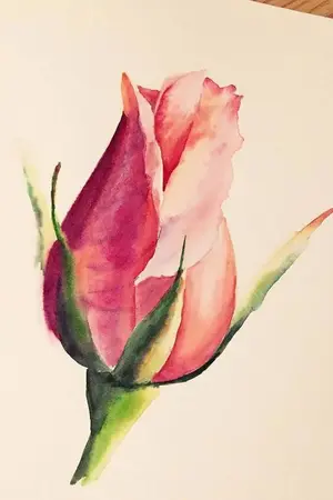 ปกนิยาย Rose Dust  |  WonKyu