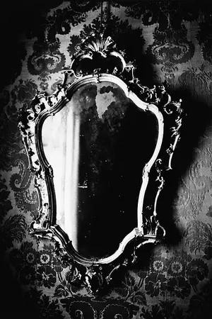 ปกนิยาย LEADER. {KAIDO etc}