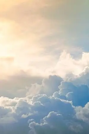 ปกนิยาย [Magi] Life Goes On