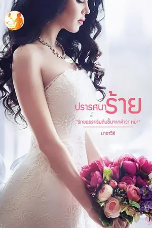 ปกนิยาย