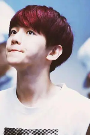 ปกนิยาย ChanBaek } Once upon a dream