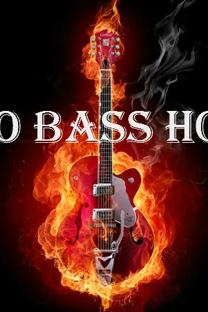 ปกนิยาย SO BASS HOT เบสร็อกจังหวะรัก