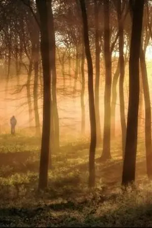 ปกนิยาย (SF) The Sun