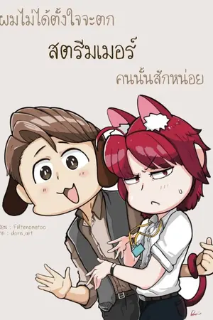 ปกนิยาย ผมไม่ได้ตั้งใจจะตกสตรีมเมอร์คนนั้นสักหน่อย