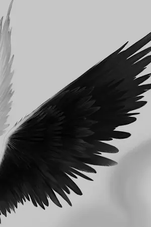 ปกนิยาย [Star Wars AU] Angel & Demon [Kylo x Rey]