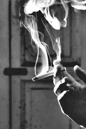 ปกนิยาย [ Draco x Hermione ] s m o k e (AU)