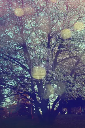 ปกนิยาย Fanfiction Harry Potter : How to love (HP/SS)