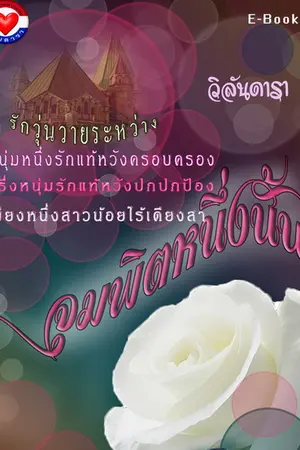 ปกนิยาย