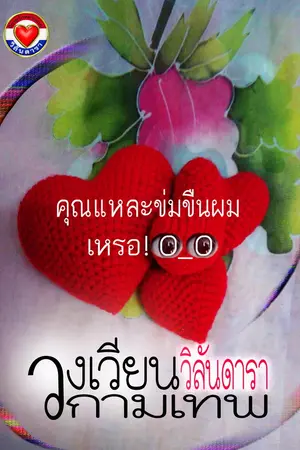 ปกนิยาย