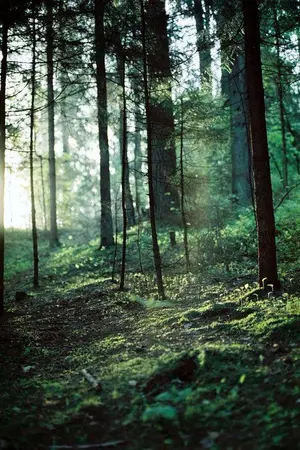 ปกนิยาย [GOT7] [Bnior / Bnyong] Before tomorrow