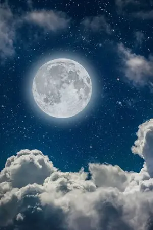 ปกนิยาย อธิษฐานผ่านจันทรา