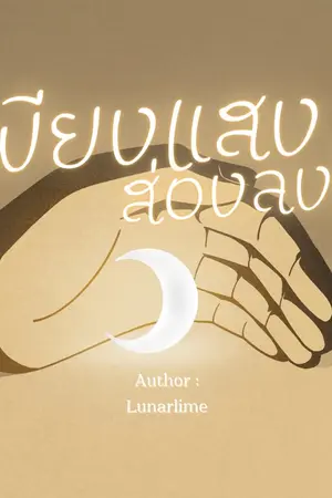 ปกนิยาย เพียงแสงส่องลงใจ