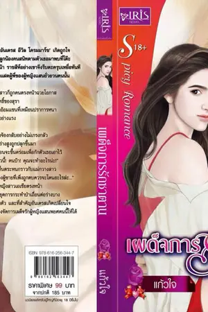 ปกนิยาย