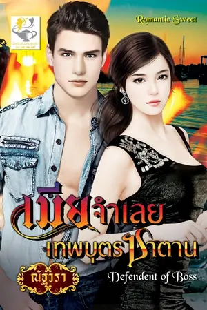 ปกนิยาย