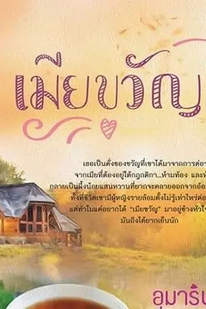 ปกนิยาย