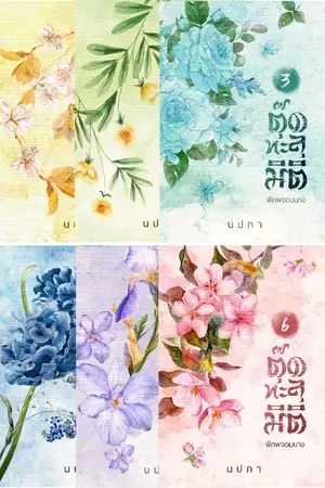 ปกนิยาย ตุ๊ดทะลุมิติ (พิภพจอมนาง)