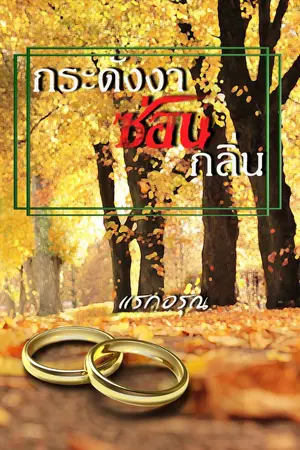 ปกนิยาย