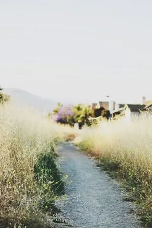 ปกนิยาย (exo)  。FARM HOUSE  。 chanbaek