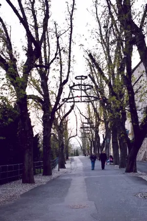 ปกนิยาย Angel's Tear น้ำตานางฟ้า