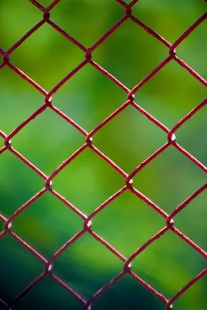 ปกนิยาย มนตราแห่งพฤกษา