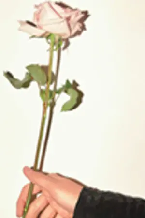 ปกนิยาย (bts) 97/93 — sf/os ; kookga&etc.