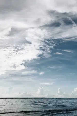 ปกนิยาย Estella ภาค คำปฏิญาณแห่งสายลม [Yaoi]