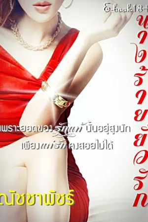 ปกนิยาย