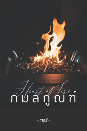 ปกนิยาย