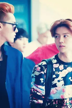 ปกนิยาย Hide [KrisHan]