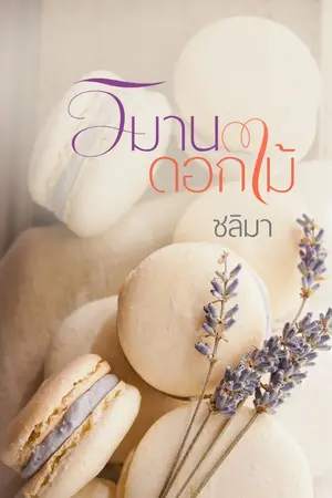 ปกนิยาย