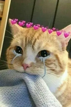 ปกนิยาย แสนเจ้าเล่ห์ (Mpreg) จบแล้ว