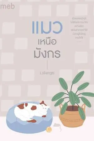 ปกนิยาย