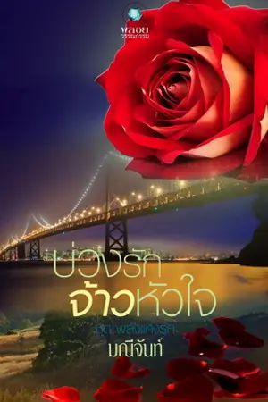 ปกนิยาย