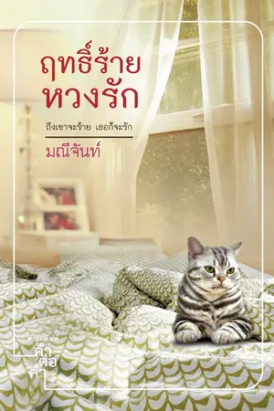 ปกนิยาย