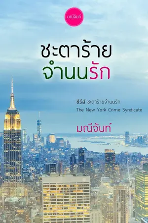 ปกนิยาย