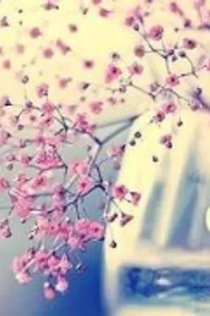 ปกนิยาย ในฝันใฝ่... Chanbaek