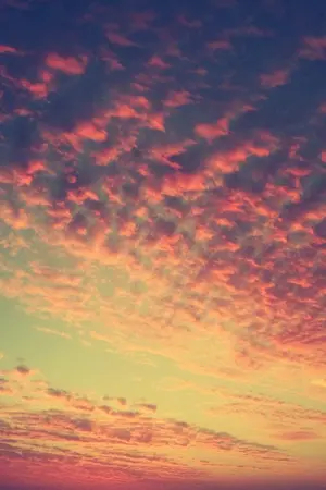 ปกนิยาย [FIC] The Three Musketeers  สามทหารเสือป่วนหัวใจคุณแม่อี้ชิง