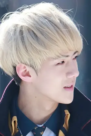 ปกนิยาย Fic EXO HunHan - What Are You?