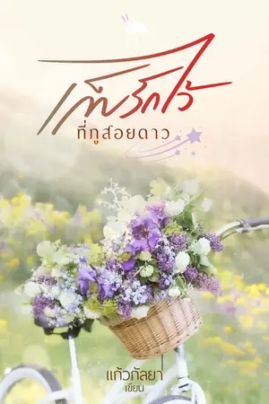 ปกนิยาย