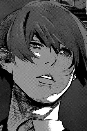 ปกนิยาย Fic tokyo ghoul re : ปรารถนาสุดท้าย