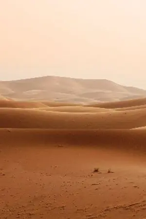 ปกนิยาย Fic One piece : Forlorn desert(Doof x Croc)