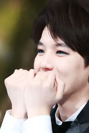 ปกนิยาย [ EXO ] :: HOW TO BE FAN-TING :: [ CHANBAEK ]