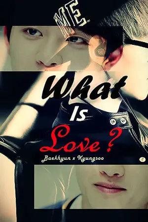 ปกนิยาย [FIC EXO] What Is Love? {BaekDo/BaekSoo}