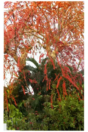 ปกนิยาย คืนหนึ่ง ณ ธาราจันทร์ (yaoi)