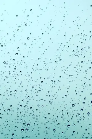 ปกนิยาย เรื่องสั้น ในวันฝนพรำ