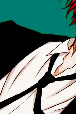 ปกนิยาย [SF KNB] What’s the problem ? (AoKise)