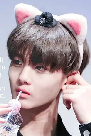 ปกนิยาย wanna one | my cat bjy. #jinhwi