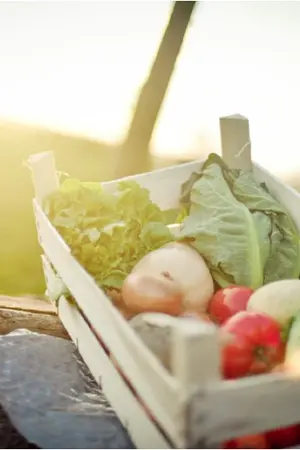 ปกนิยาย - Farm Story -