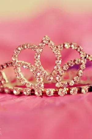 ปกนิยาย My diary ความทรงจำสีจางๆ